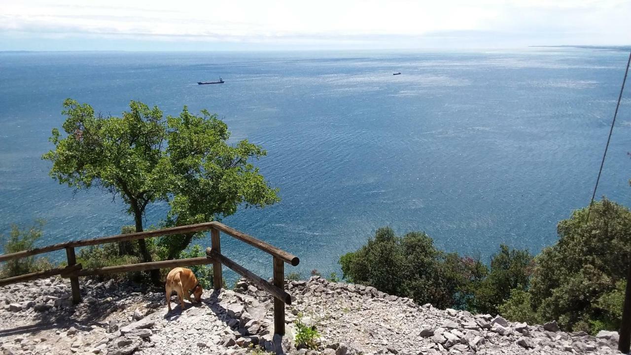 Alla Cantina Duino-Duino-Aurisina Zewnętrze zdjęcie